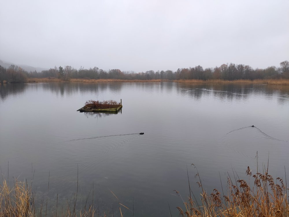 Biodiversum Réserve naturelle Haff Réimech景点图片