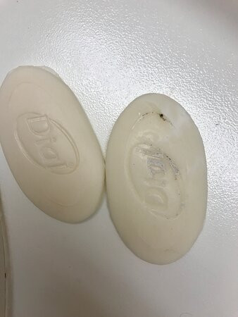 栗山自然保护区-加利纳必去景点