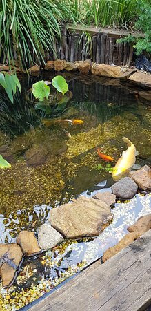 Sinofield Edu-Retreat主图