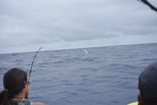 Majestic Marlin Brazil-Canavieiras必去景点