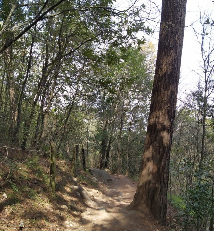 伊克罗杰克齐宾公园-圣佩德罗加尔萨加西亚镇必去景点