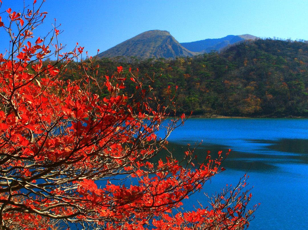 虾野市旅游景点-Rokkannon Miike Pond