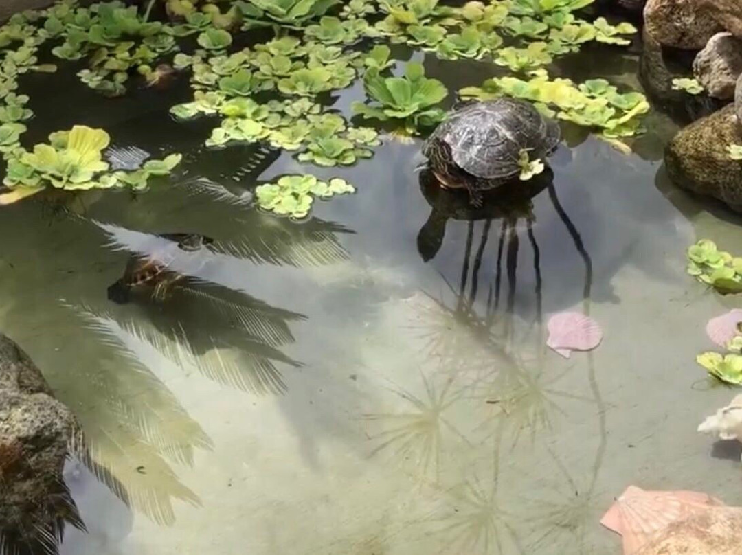 砚山浴仙湖景点图片