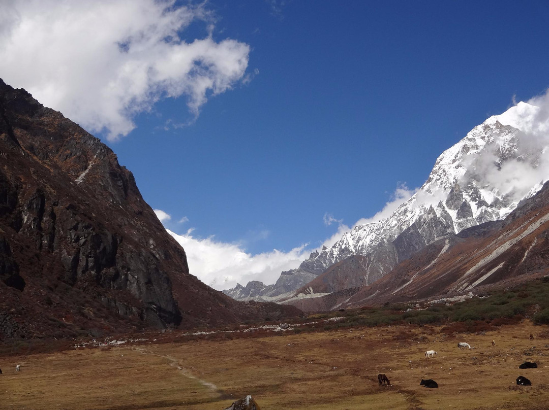 Red Panda Tours and Travels