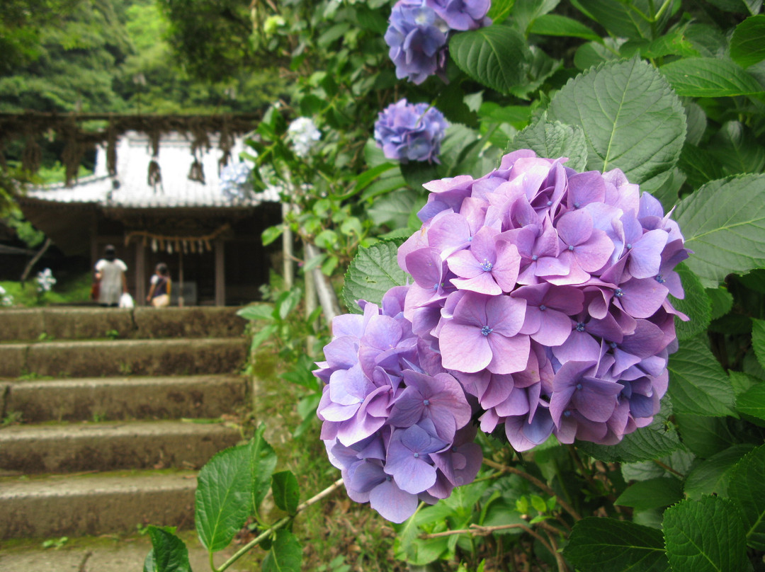 Hakusan Shrine-镰仓市必去景点