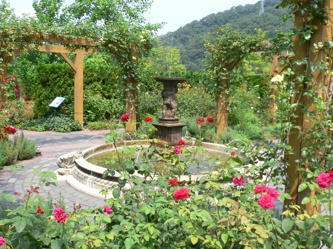 Fukayama British Garden景点图片