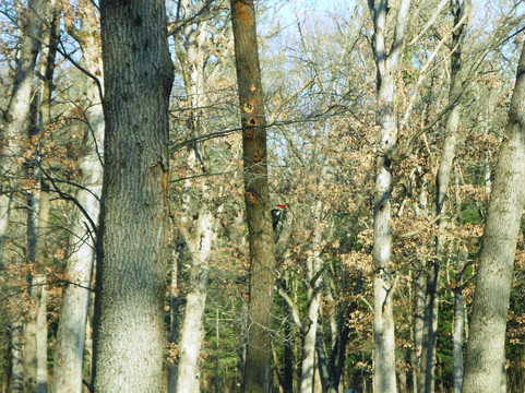 威纳马克旅游攻略图片