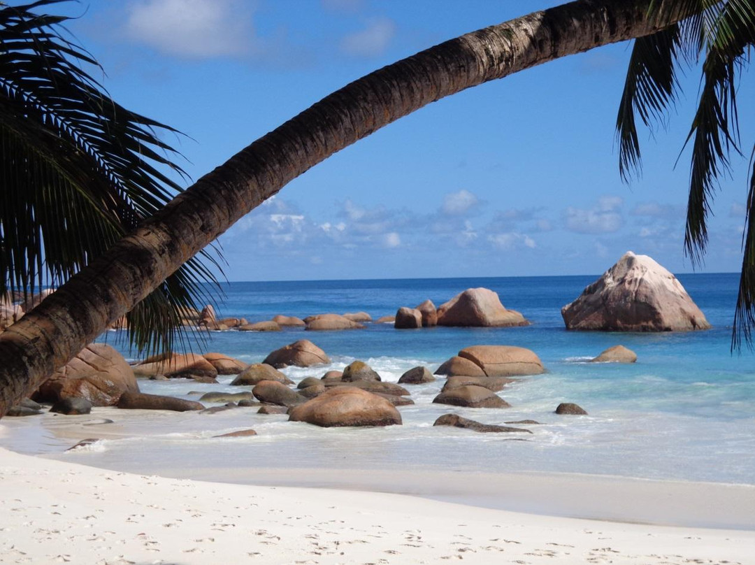 Anse Lazio旅游攻略图片