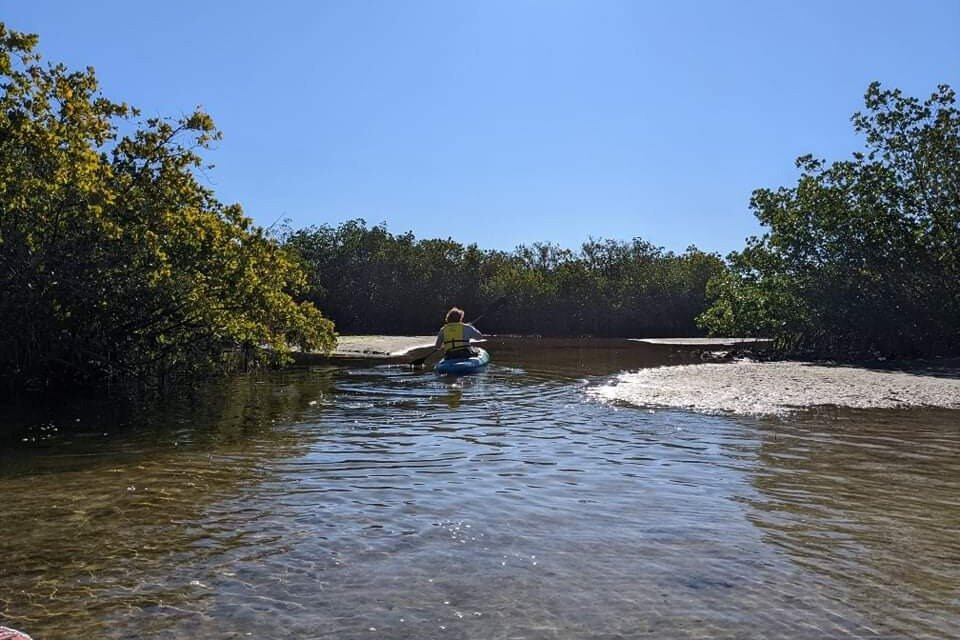River Wild Kayaking