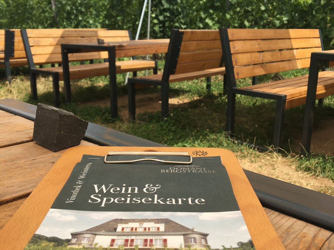 Vinothek & Weinterrasse Domäne Bergstraße im Rebmuttergarten