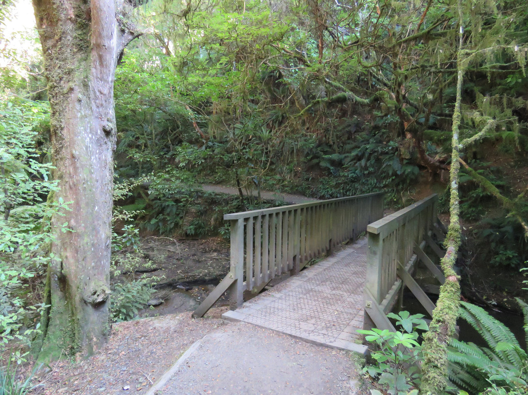 Purakaunui Falls景点图片