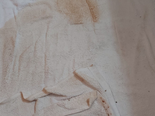 The Waterfront Motel主图