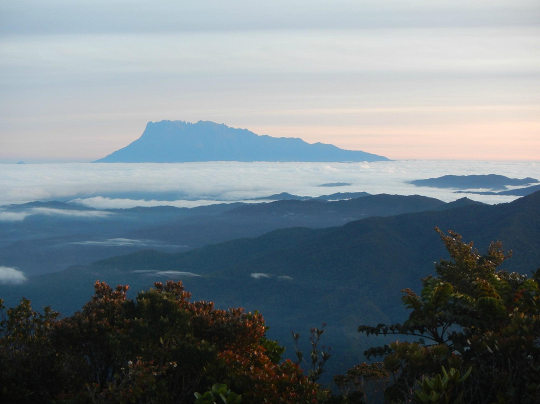 Mt. Trusmadi Apin-apin景点图片