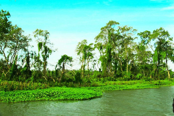 Walawe River Safari景点图片