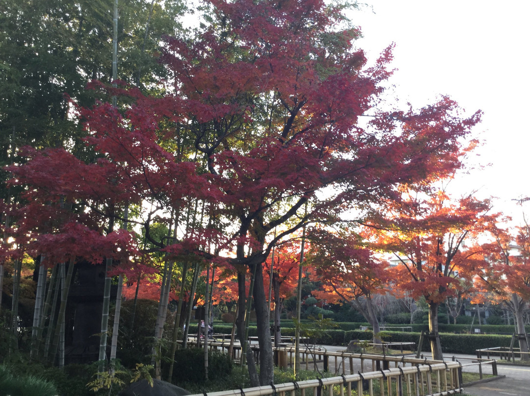 江戸川区旅游景点-Heisei Garden