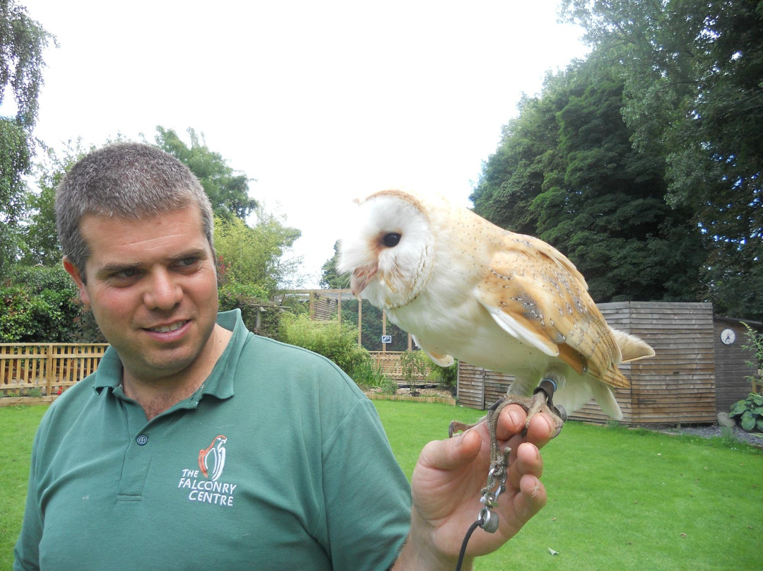 The Falconry Centre景点图片