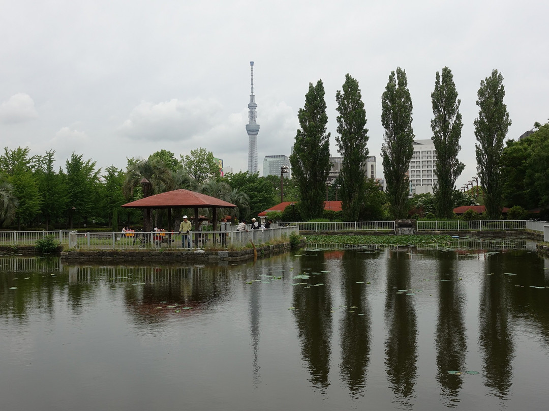 Sarue Onshi Park景点图片