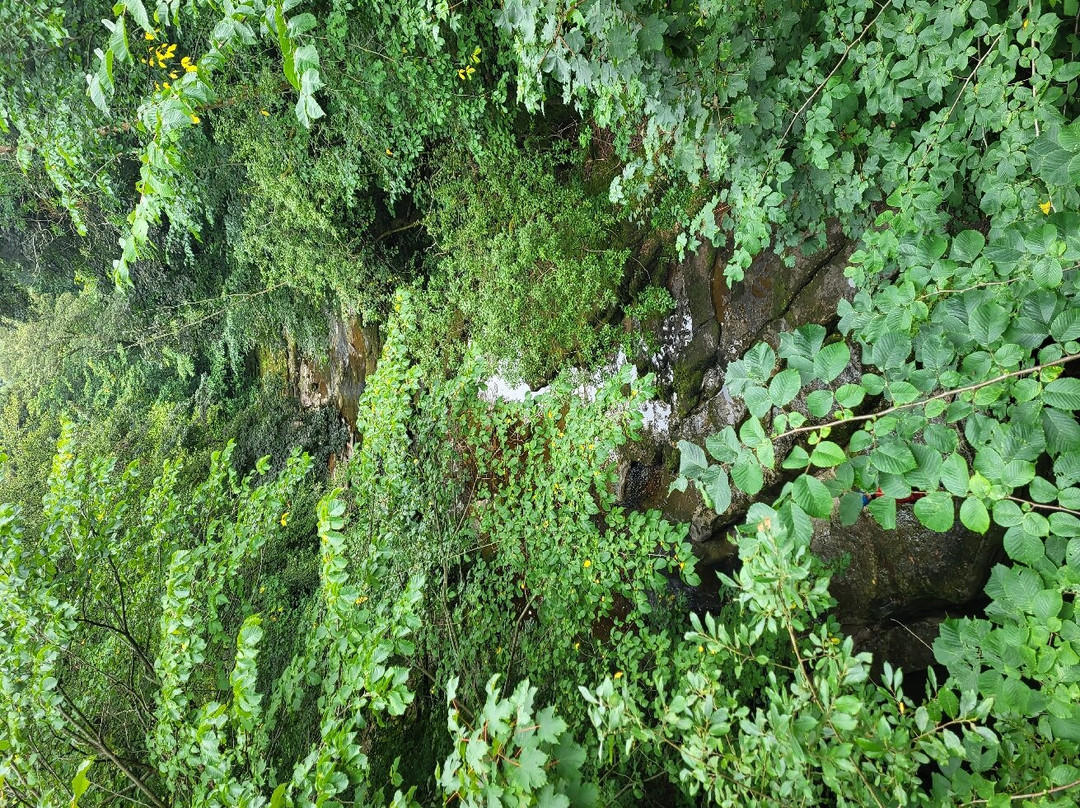 Eden Viaducts景点图片