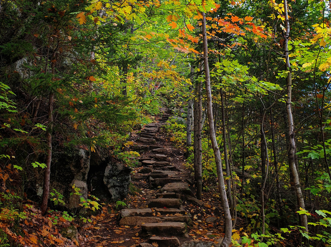 Parc National Du Fjord-du-Saguenay景点图片