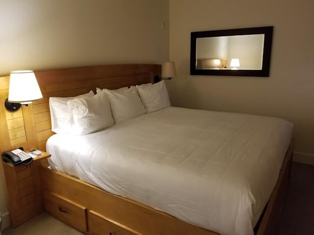 新公园度假酒店主图