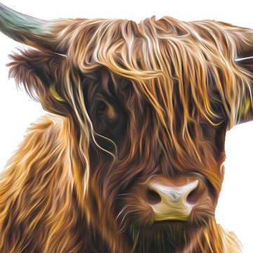 Highlander Private Tours-因弗内斯必去景点