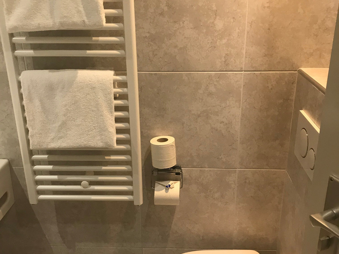 Fletcher Hotel-Restaurant De Zalm主图