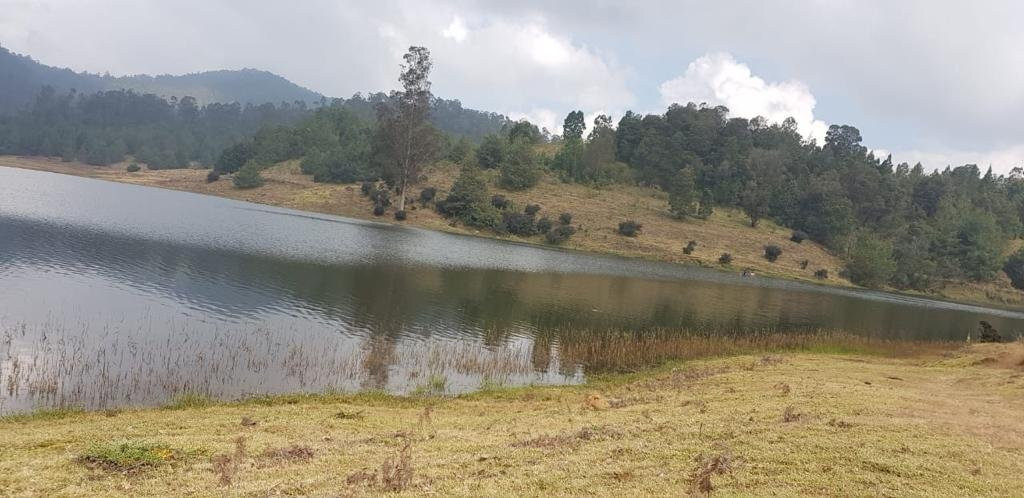 Mannavanur Lake景点图片