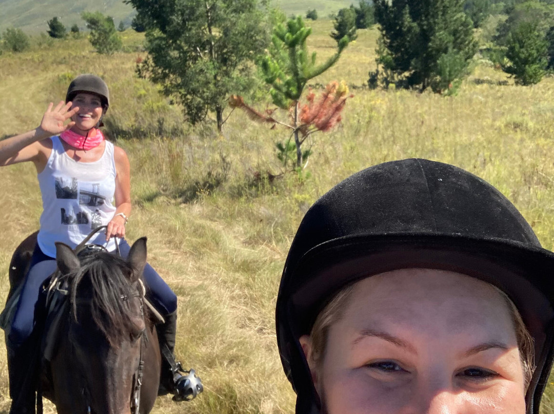 Oudebosch Mountain Lodge主图