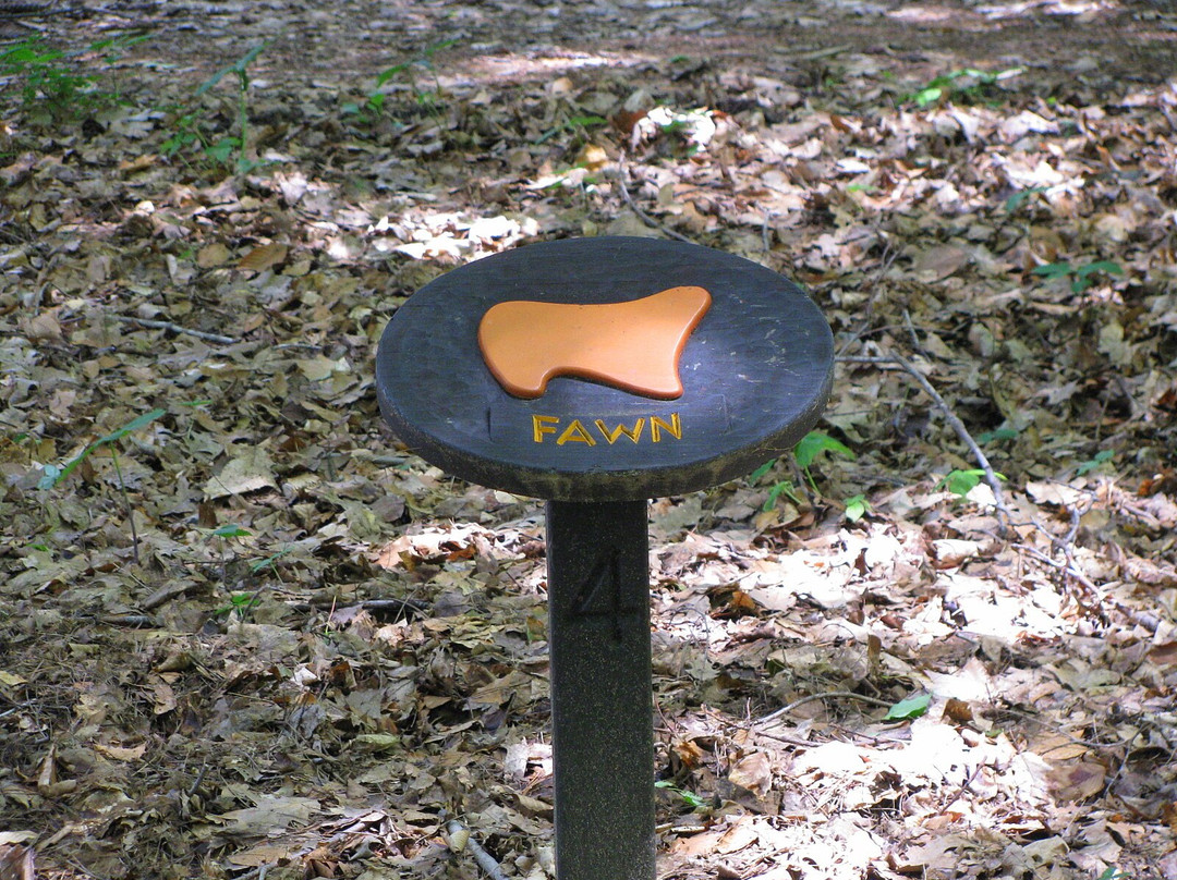 Indian Mounds Park-希博伊根必去景点