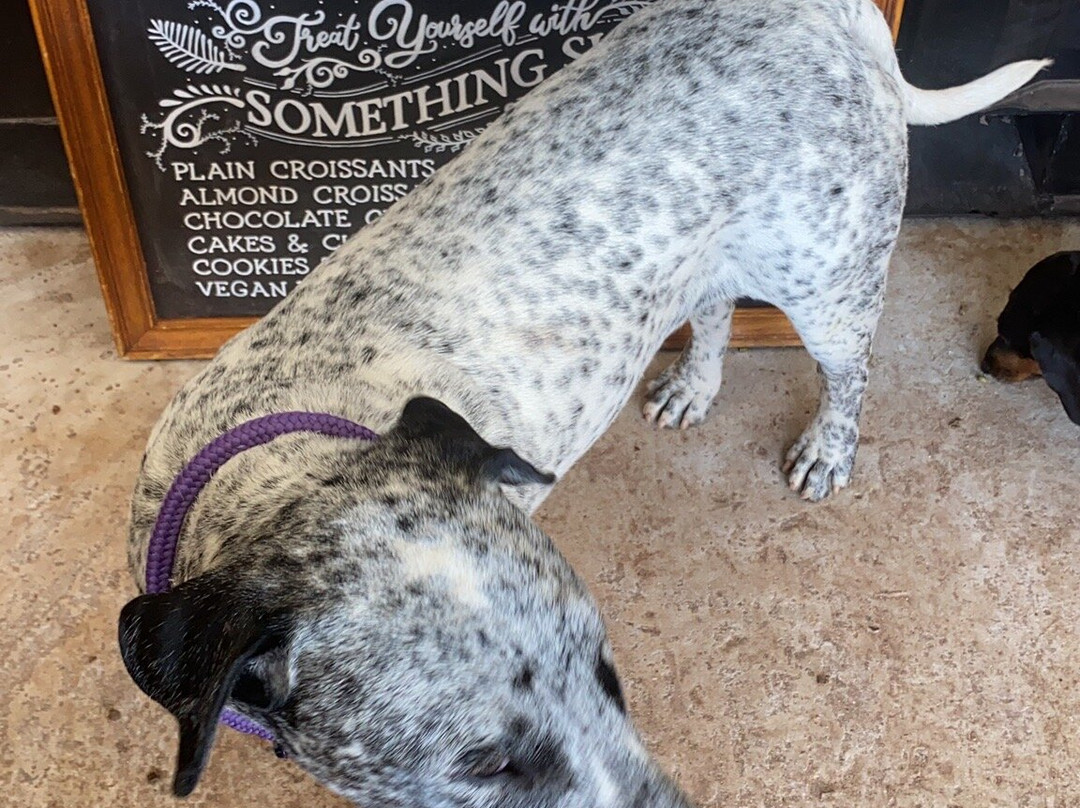 Tokai Forest-Tokai必去景点