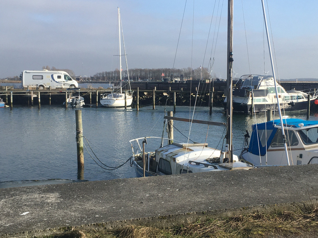 Tårs Havn