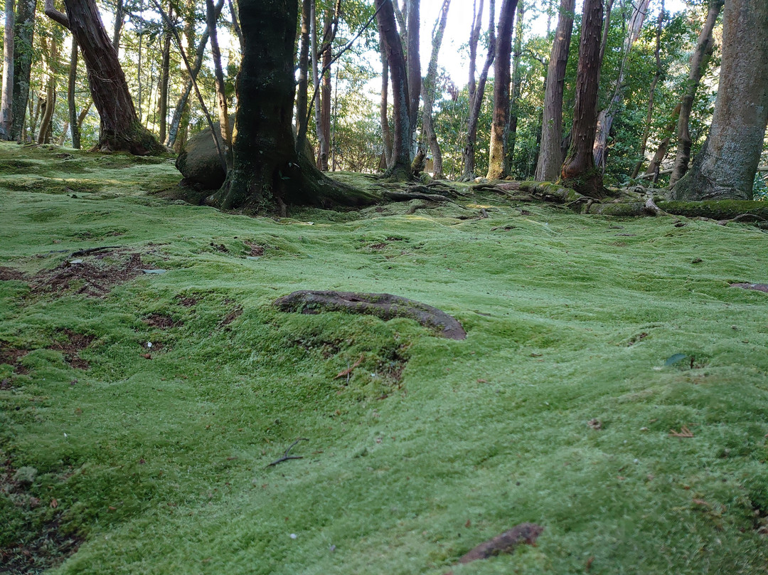 秋篠寺-奈良市必去景点