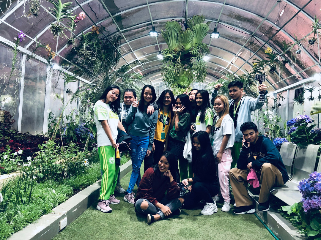 The Garden Ciudad de Victoria景点图片