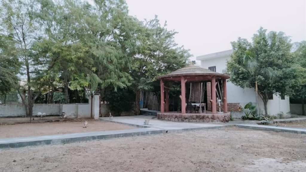 Break Point Farm主图