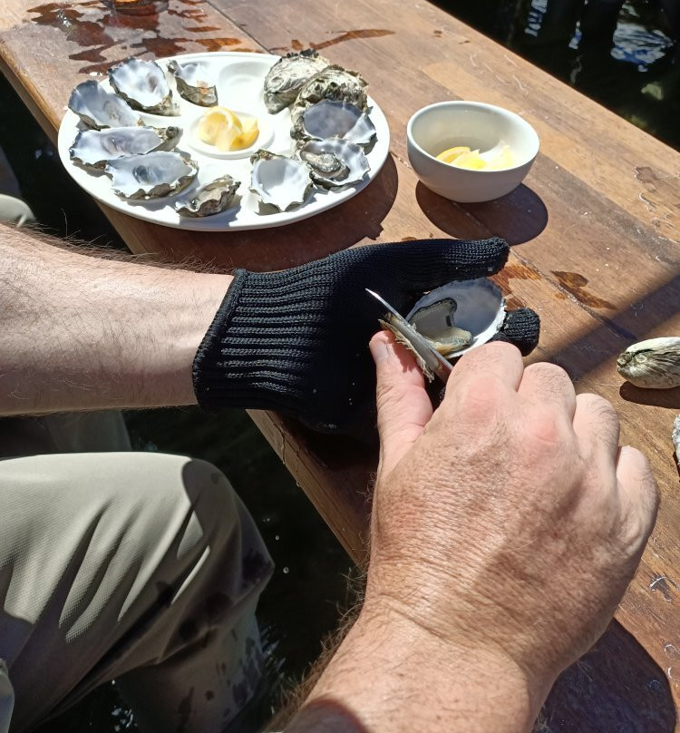 Oyster Farm Tours景点图片