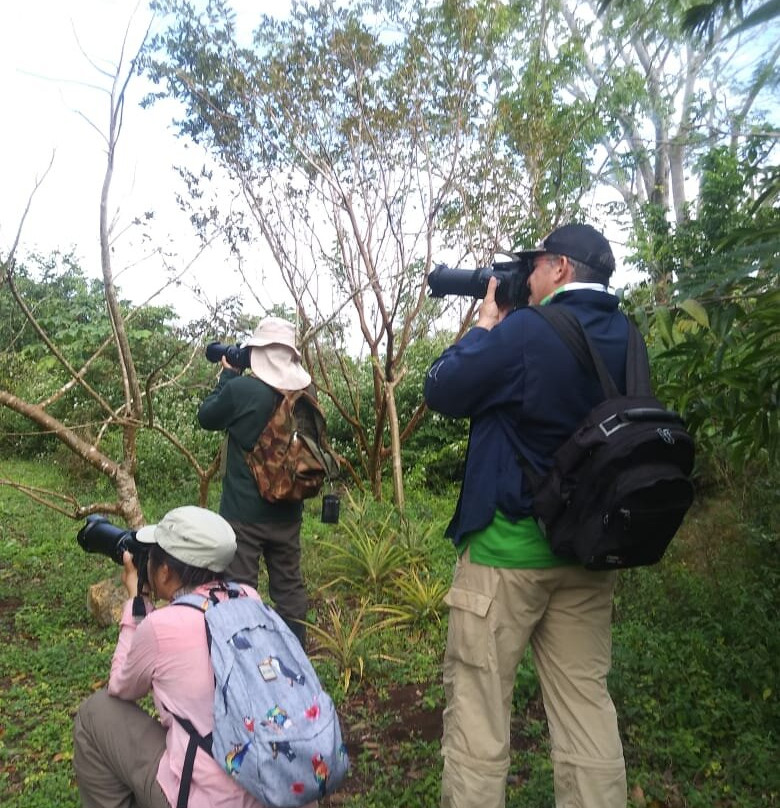 Reserva Toh-从莫雷洛斯港必去景点