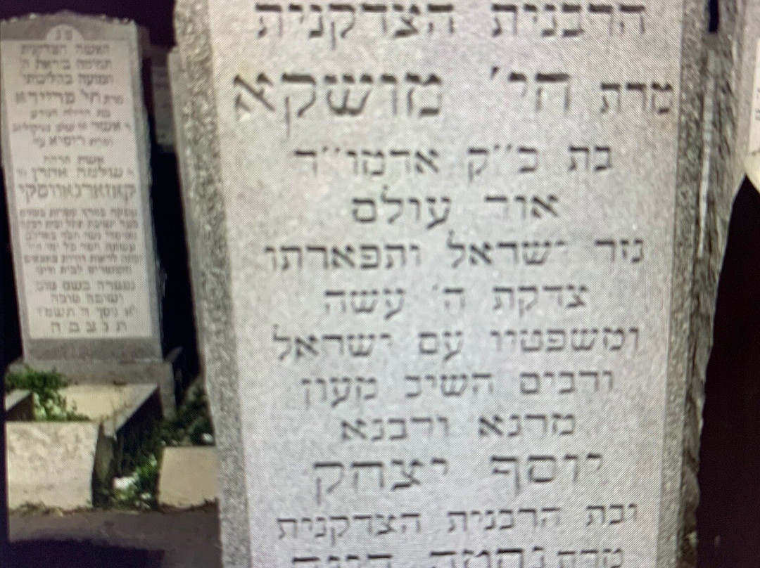 The Ohel-Cambria Heights必去景点