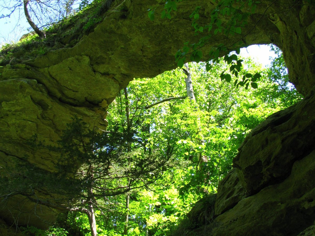 Natural Bridge State Park景点图片