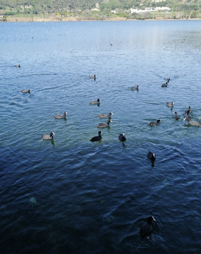 Lago d'Averno景点图片