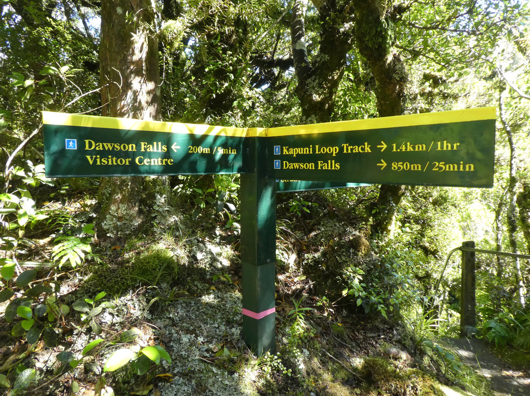 Dawson Falls景点图片