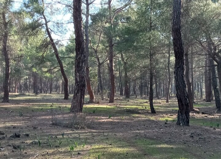 Guver Valley景点图片