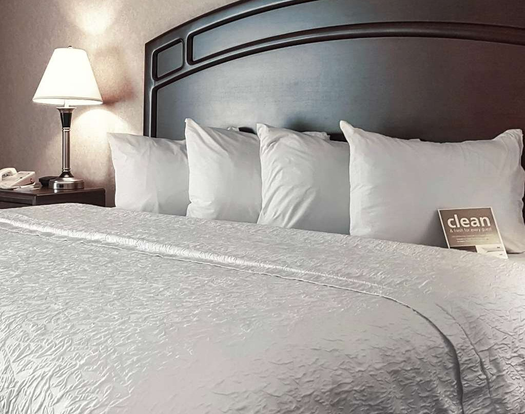 Hampton Inn & Suites by Hilton Edmonton International Airport主图