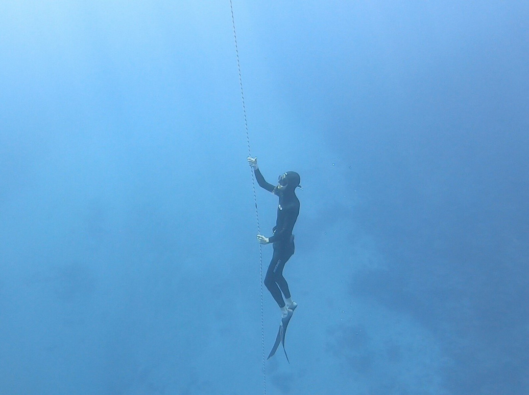 Freedive Christmas Island-圣诞岛必去景点