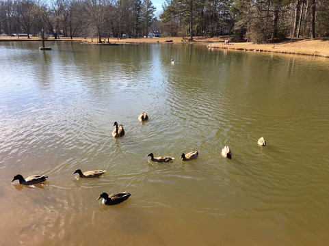 Jefferson City Park-Jefferson必去景点