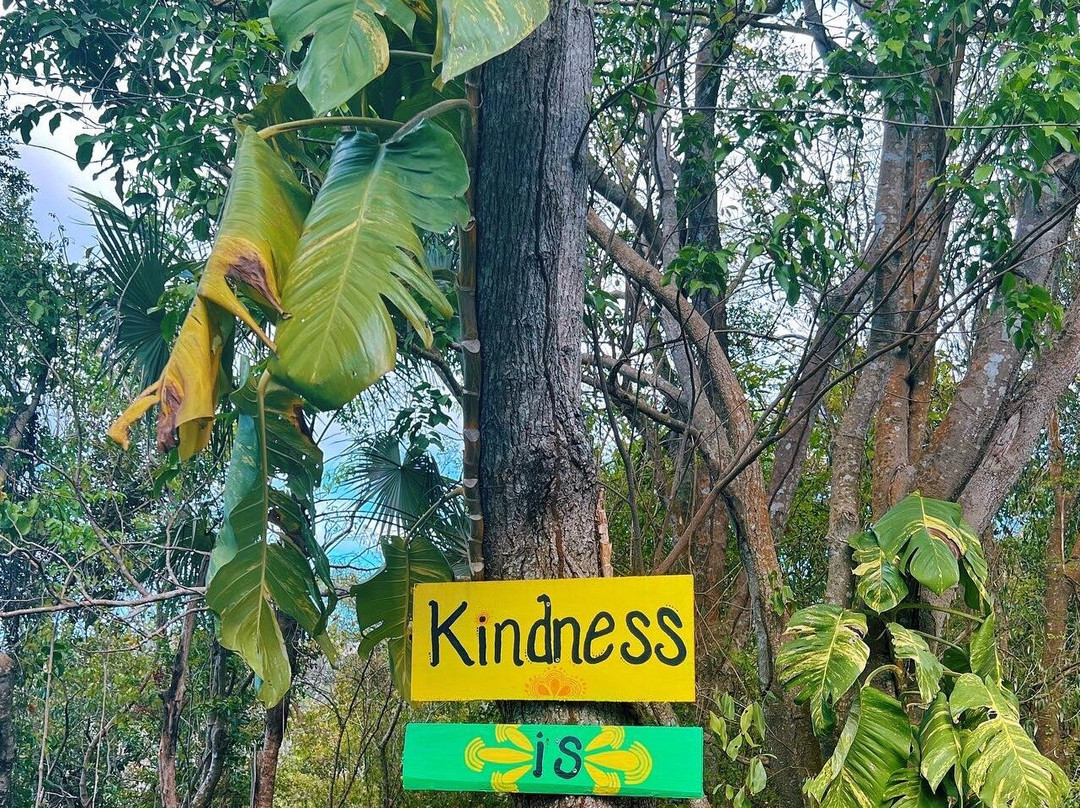 TrekLocal USVI- Local Tours-圣 托马斯必去景点