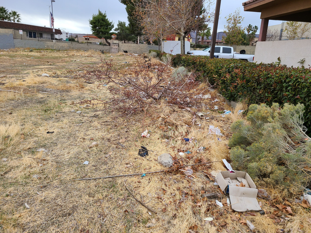 Staybridge Suites Palmdale By IHG主图