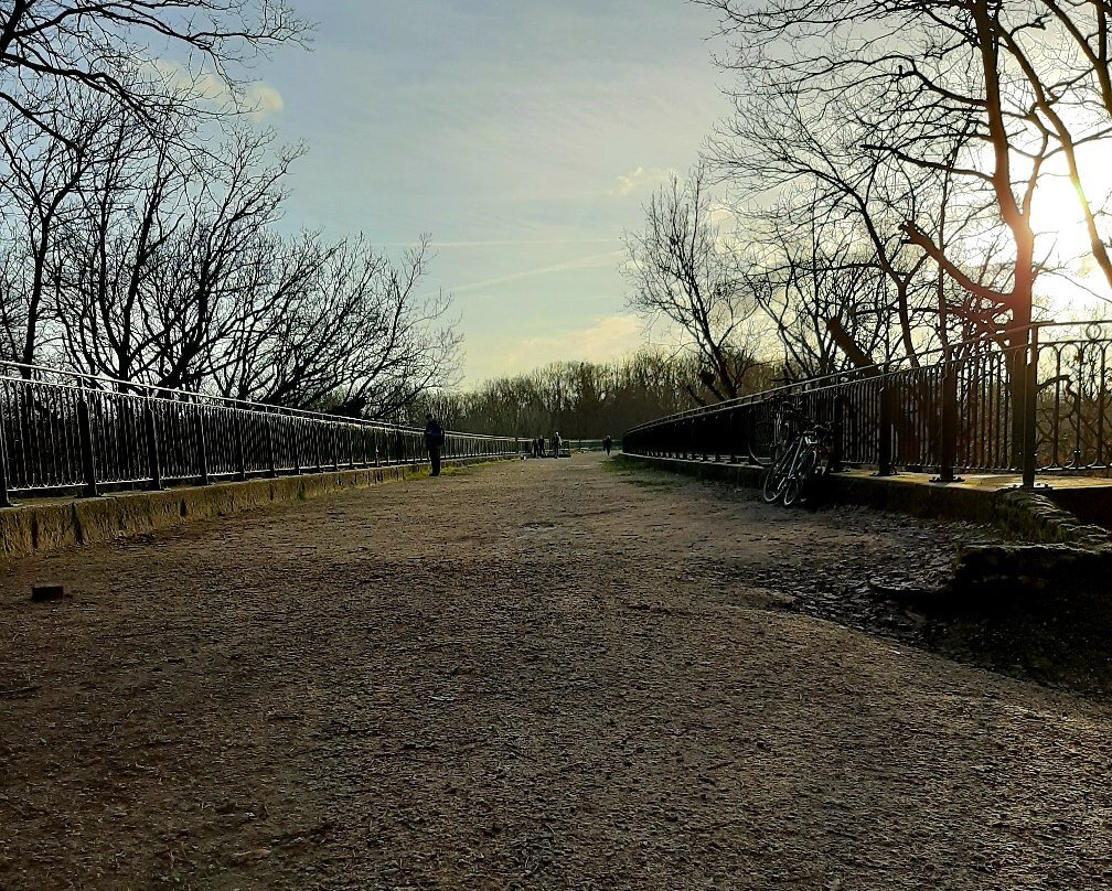 Viaduc des Fauvettes景点图片