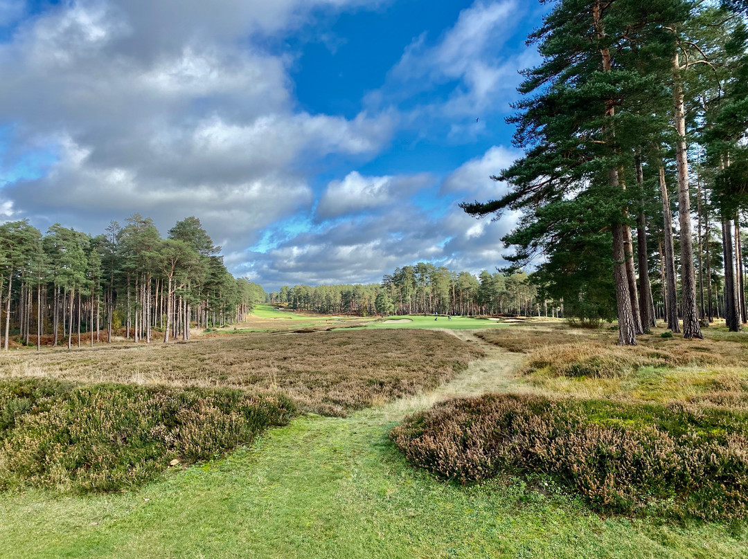 Swinley Forest Golf Club景点图片