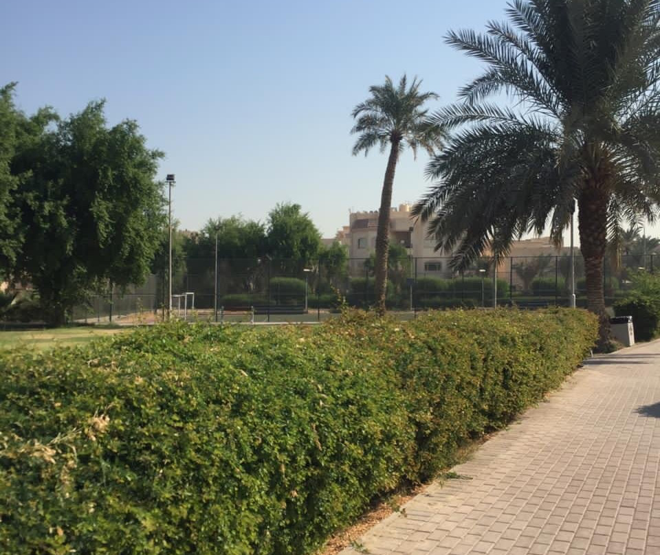Jamal Abd A Naser Park景点图片