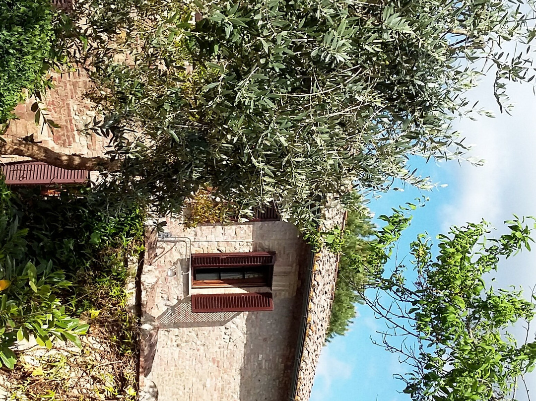 Podere le vigne主图